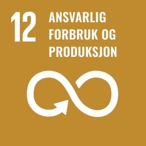 mål 12- bokmål